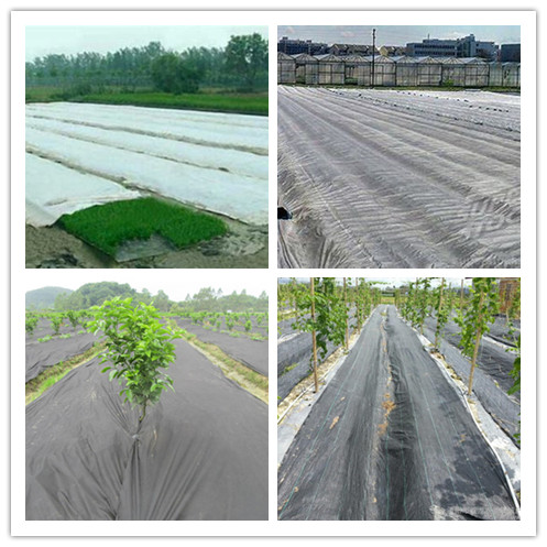 UV Resistance Agriculture Non Woven Fabric For Plant Keeping Temperature 0