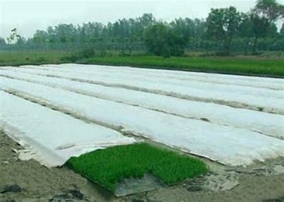 Polypropylene Agriculture Non Woven Fabric Anti Aging Environmental Health 0