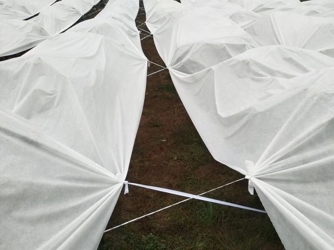 Good Transparency Agriculture Non Woven Fabric Non - Poisonous Frostproof Fabric 0
