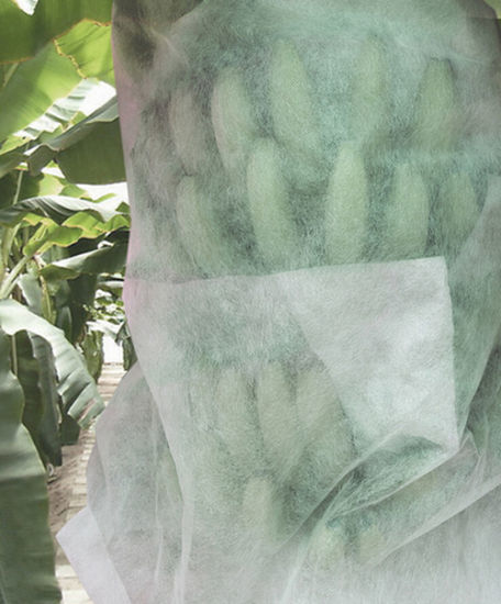 Anti Mildew Agriculture Non Woven Fabric 1% - 4% UV Treated ISO14000 1
