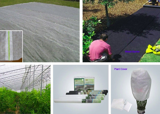 Anti Mildew Agriculture Non Woven Fabric 1% - 4% UV Treated ISO14000 2