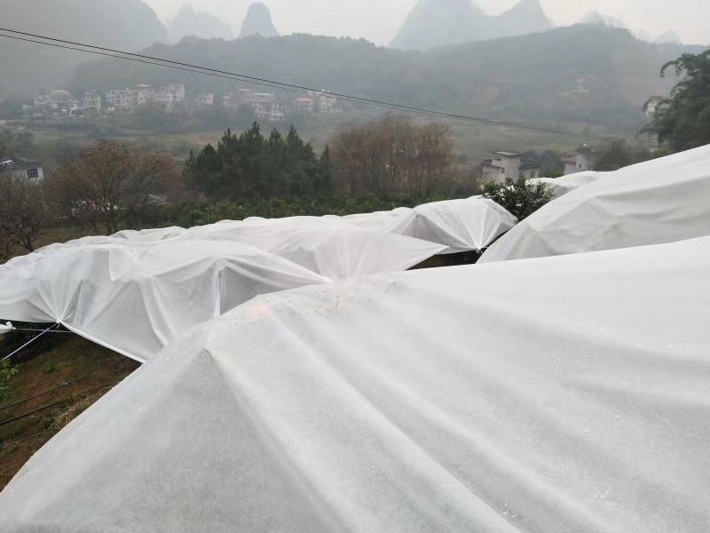 ps24263717-winter_protection_cloth_polypropylene_non_woven_fabric_cold_proof_breathable.jpg