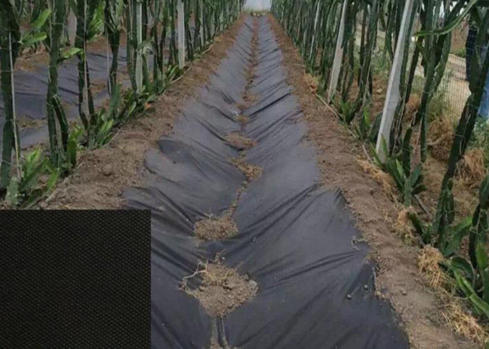 ps33217572-hydrobilic_agriculture_non_woven_fabric_pp_winter_protection_no_pollution_for_orchards.jpg