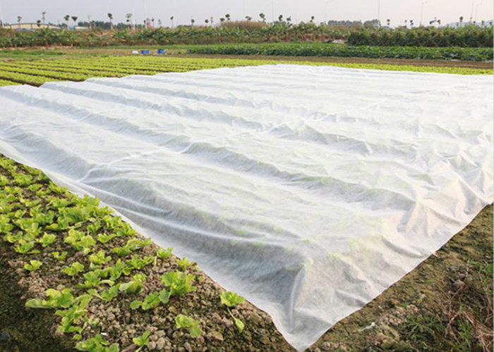 ps33205694-environmentally_friendly_pp_nonwoven_fabric_degradable_for_agricultural_film.jpg