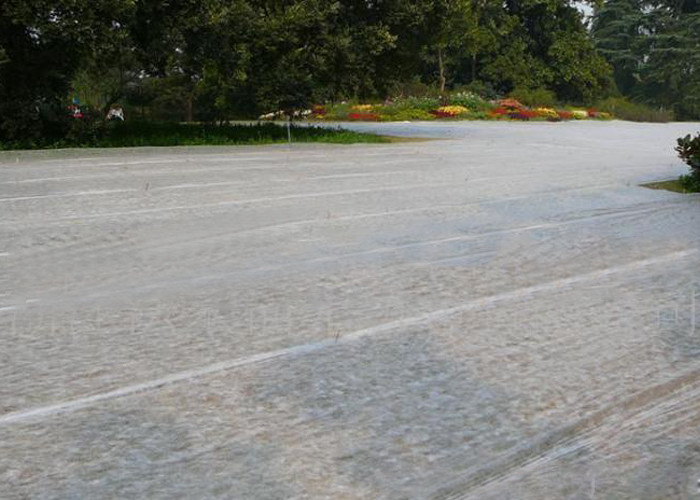 ps33217435-environmentally_friendly_pp_nonwoven_fabric_degradable_for_agricultural_film.jpg